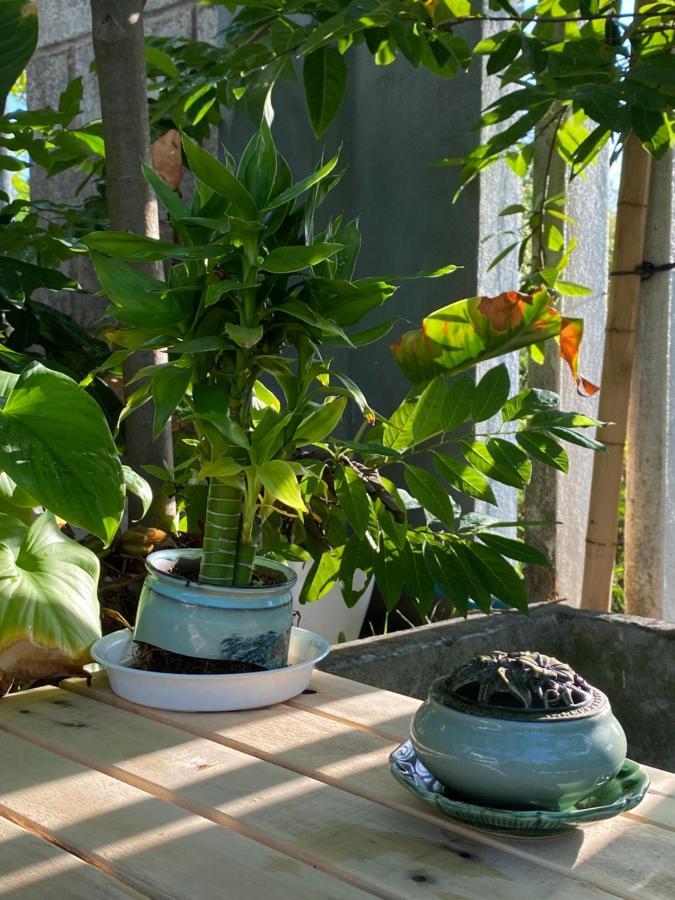 Laoxao Homestay Hoi An Dış mekan fotoğraf
