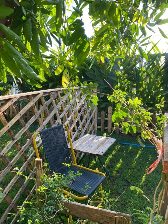 Laoxao Homestay Hoi An Dış mekan fotoğraf