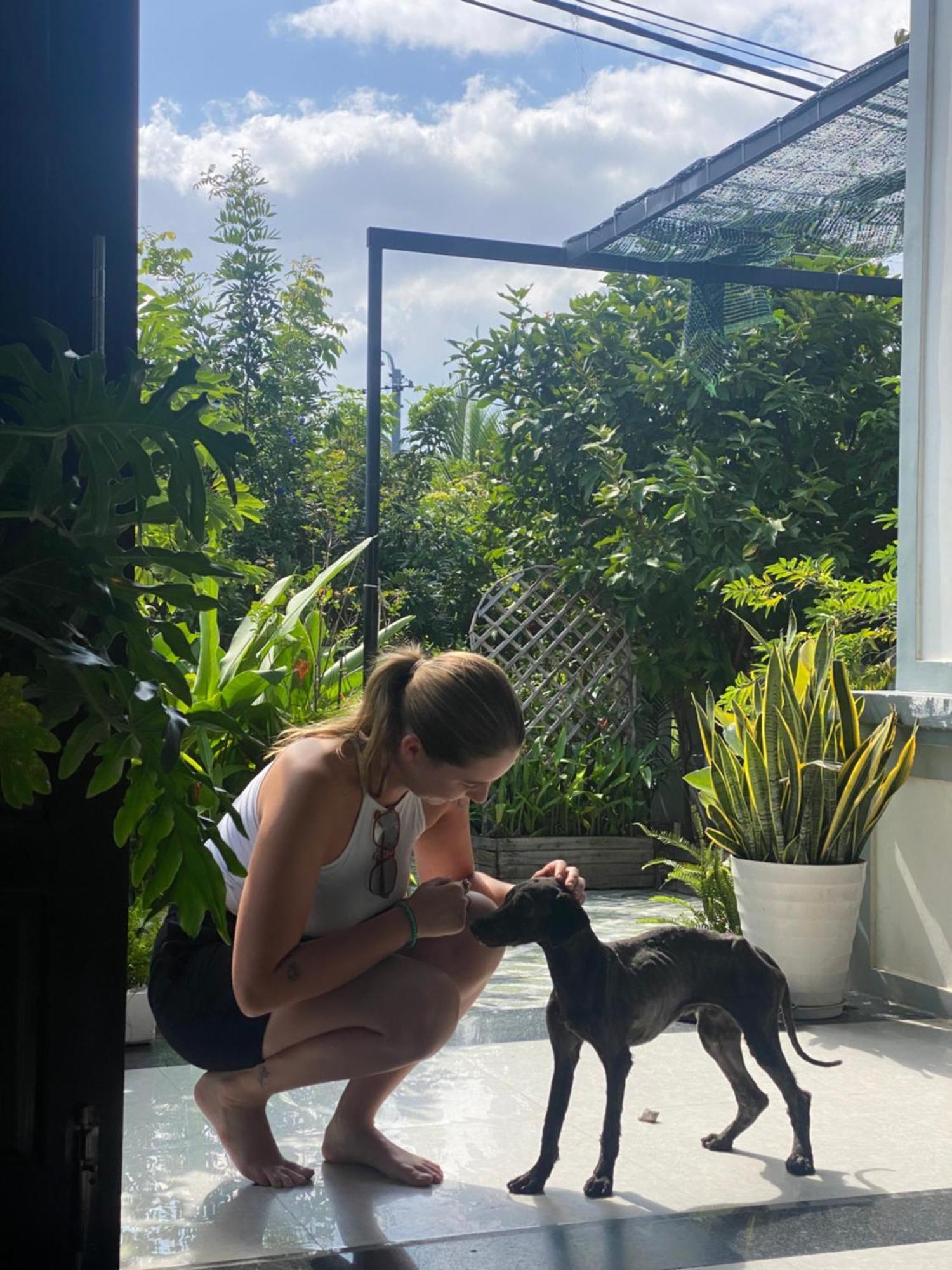 Laoxao Homestay Hoi An Dış mekan fotoğraf
